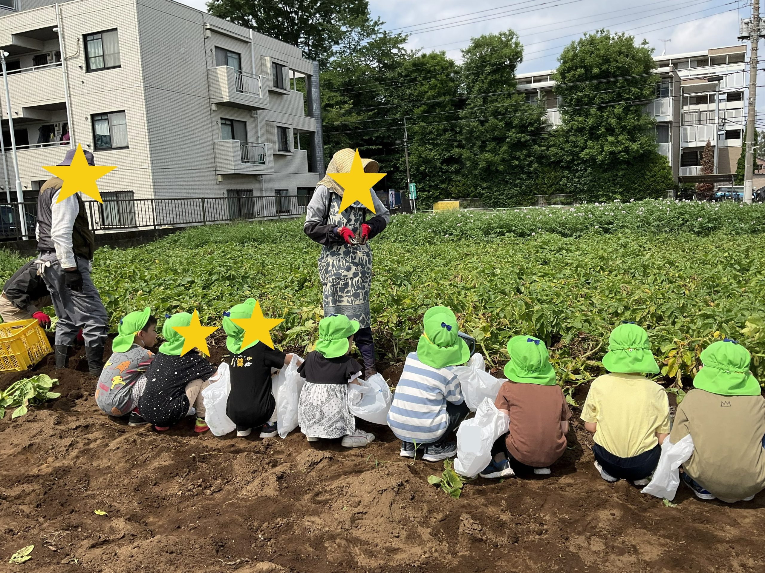 画像：ブログ