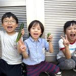 夏野菜の収穫No.2