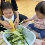すくわく 収穫体験(トウモロコシ)