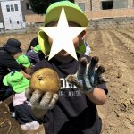 じゃがいも堀り
