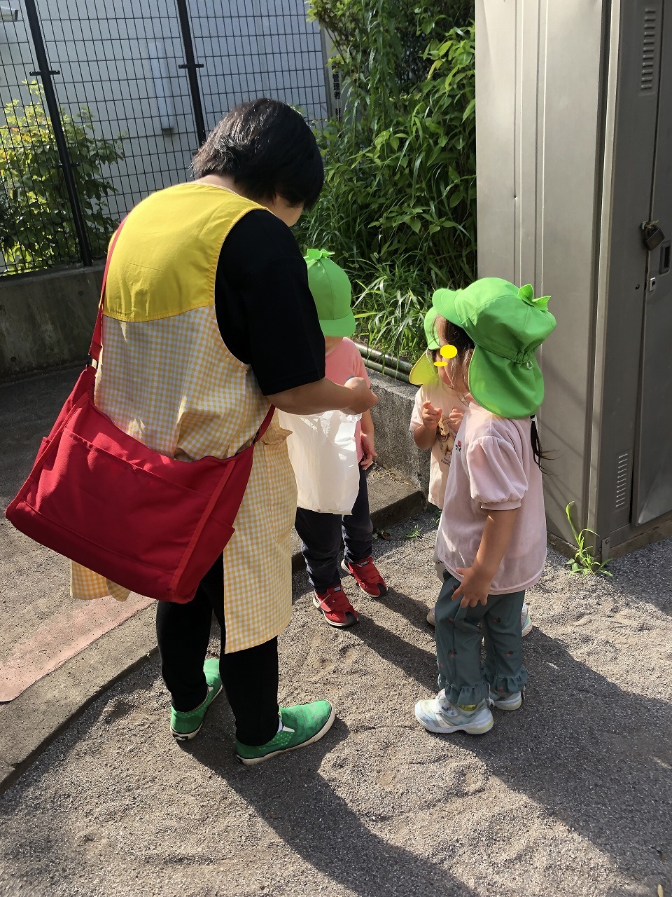 画像：ブログ