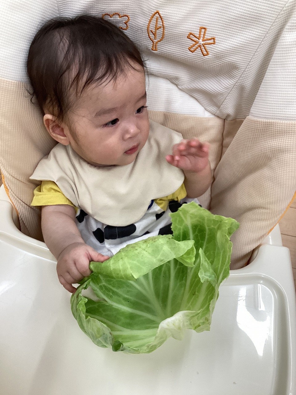 画像：ブログ