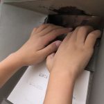 お手紙を書いたよ