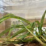 保育園に遊びに来たよ