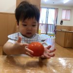 だいち食育