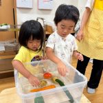 野菜の浮き沈み実験~ふたば組