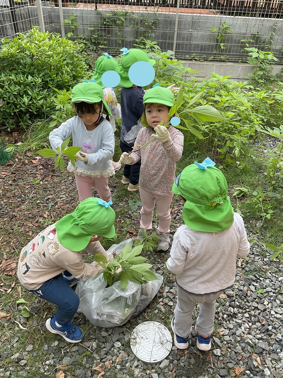 画像：ブログ