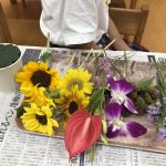 たいよう組の花育