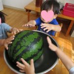 7月23日　『スイカ割り』