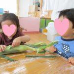 7月24日　『そよかぜ組食育：とうもろこしの皮むき』