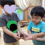 ドキドキの初対面！カブトムシさんと遊んだよ