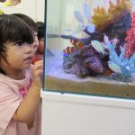 とうきょうすくわくプログラムの活動 水族館がやってきた!