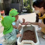 ふたば組　枝豆の種まき