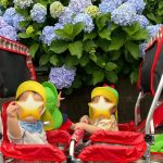 ６月　だいち　お散歩楽しい！