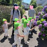 ６月　ふたば　あじさいきれいだな