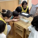 チョウの観察　うみ、たいよう組