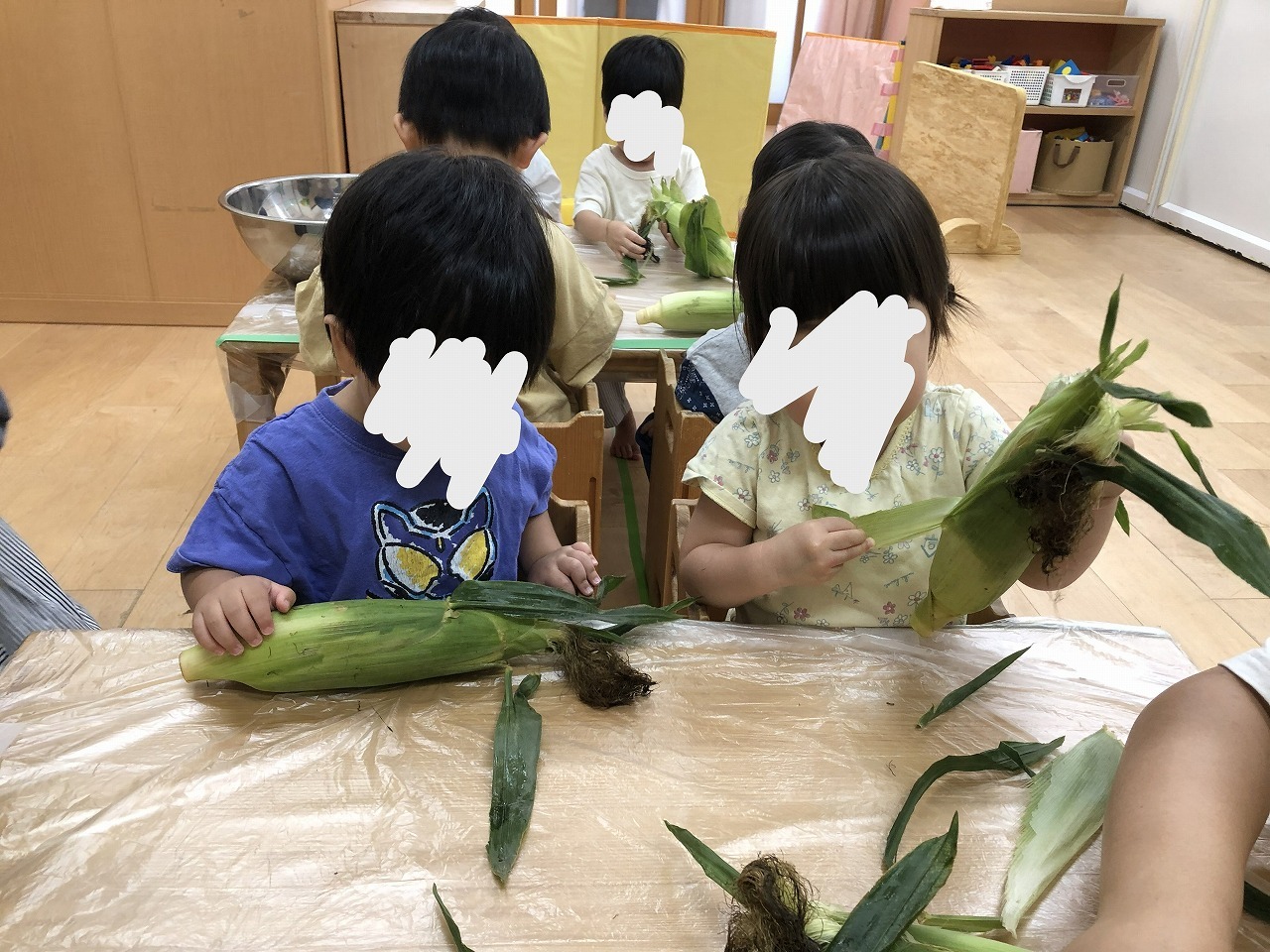 画像：ブログ