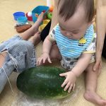 スイカと冬瓜に触ろう