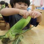 『とうもろこしの皮むき体験』