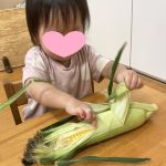 食育でとうもろこしの皮むきをしました。