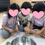 枝豆のさやとり