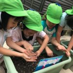 秋に向けての種植え