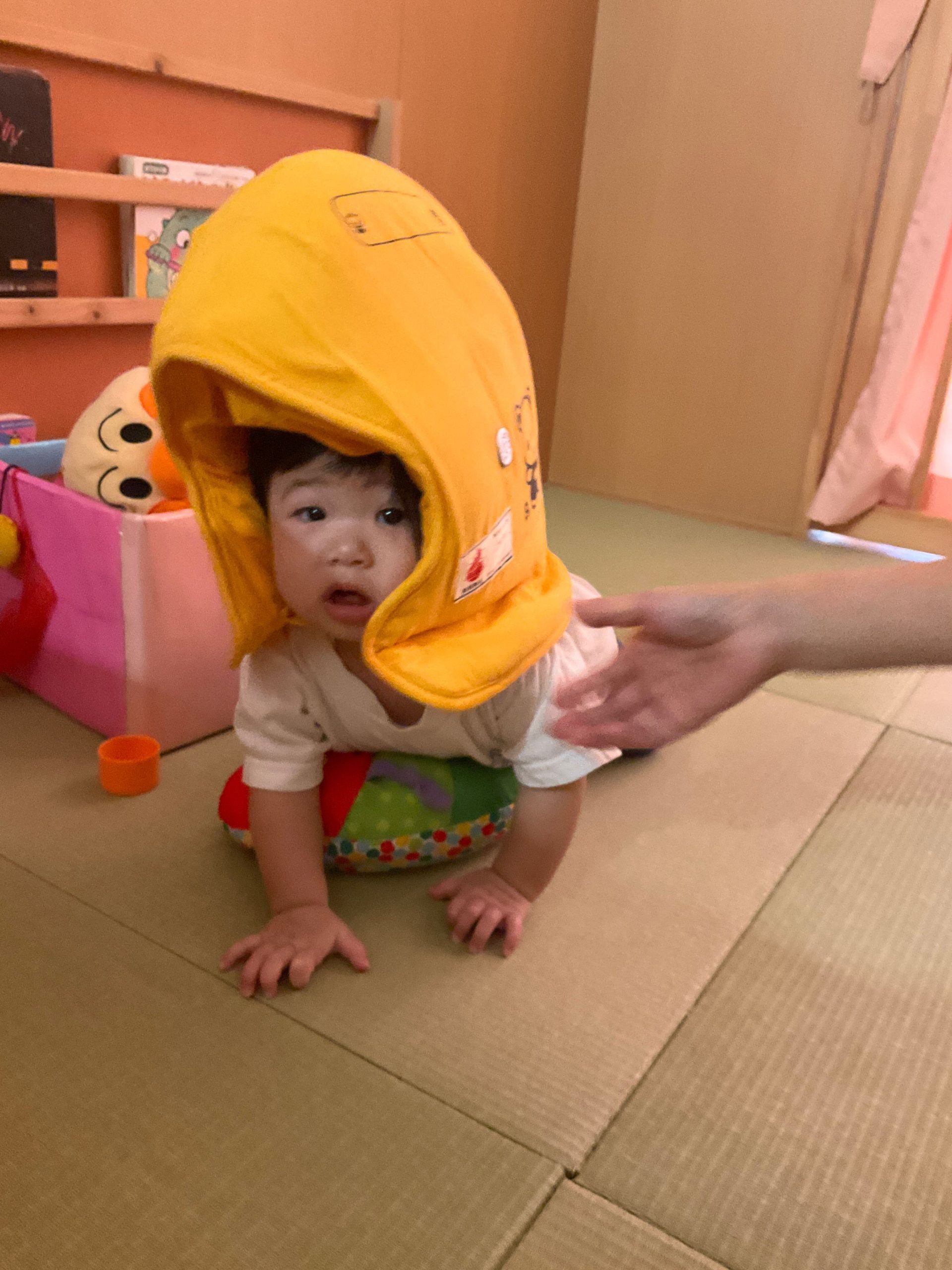 画像：ブログ