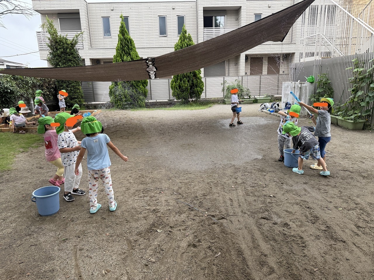 画像：ブログ