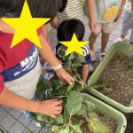 【全クラス】なつやさいがとれたよ～！