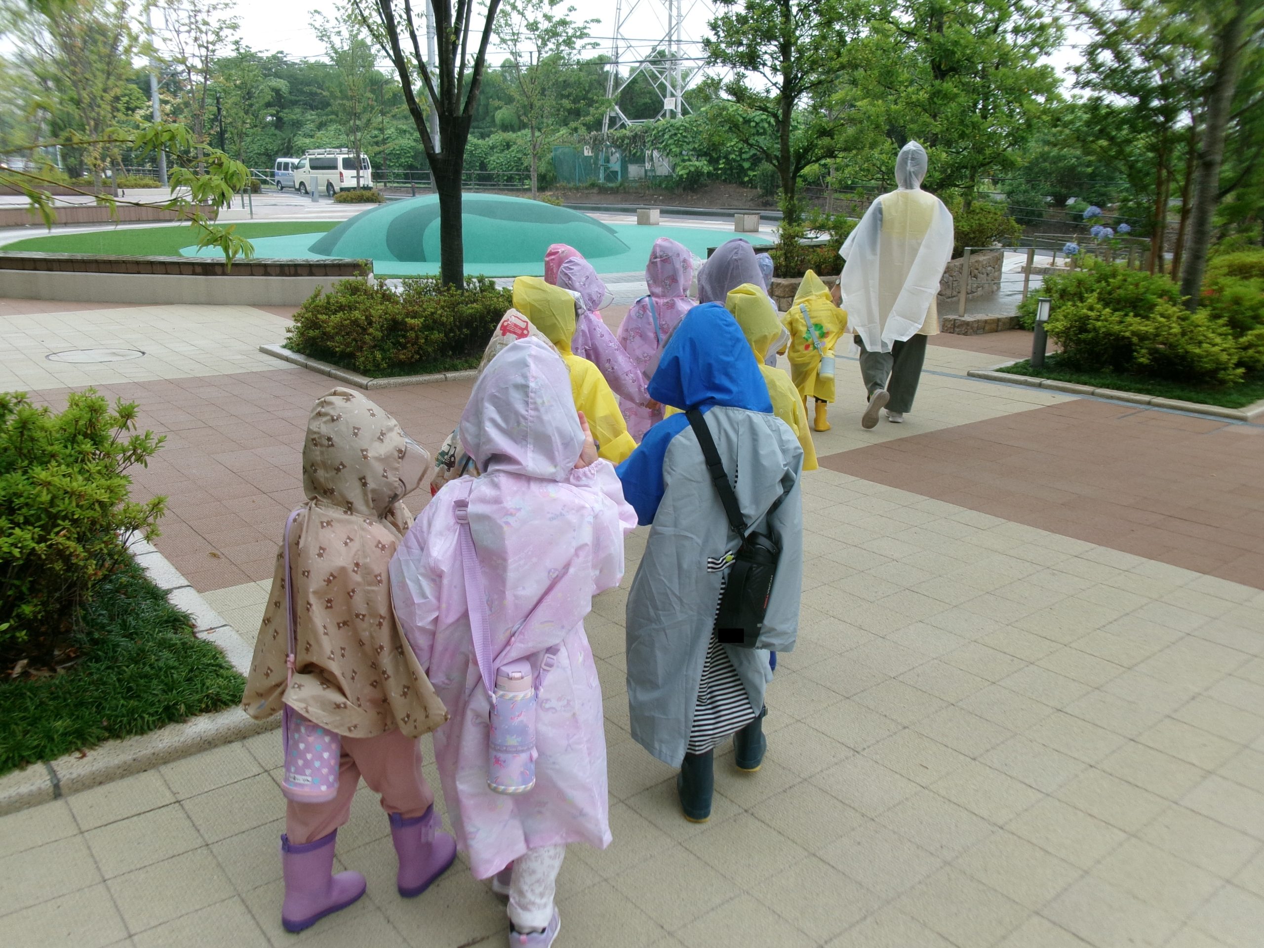雨の日散歩