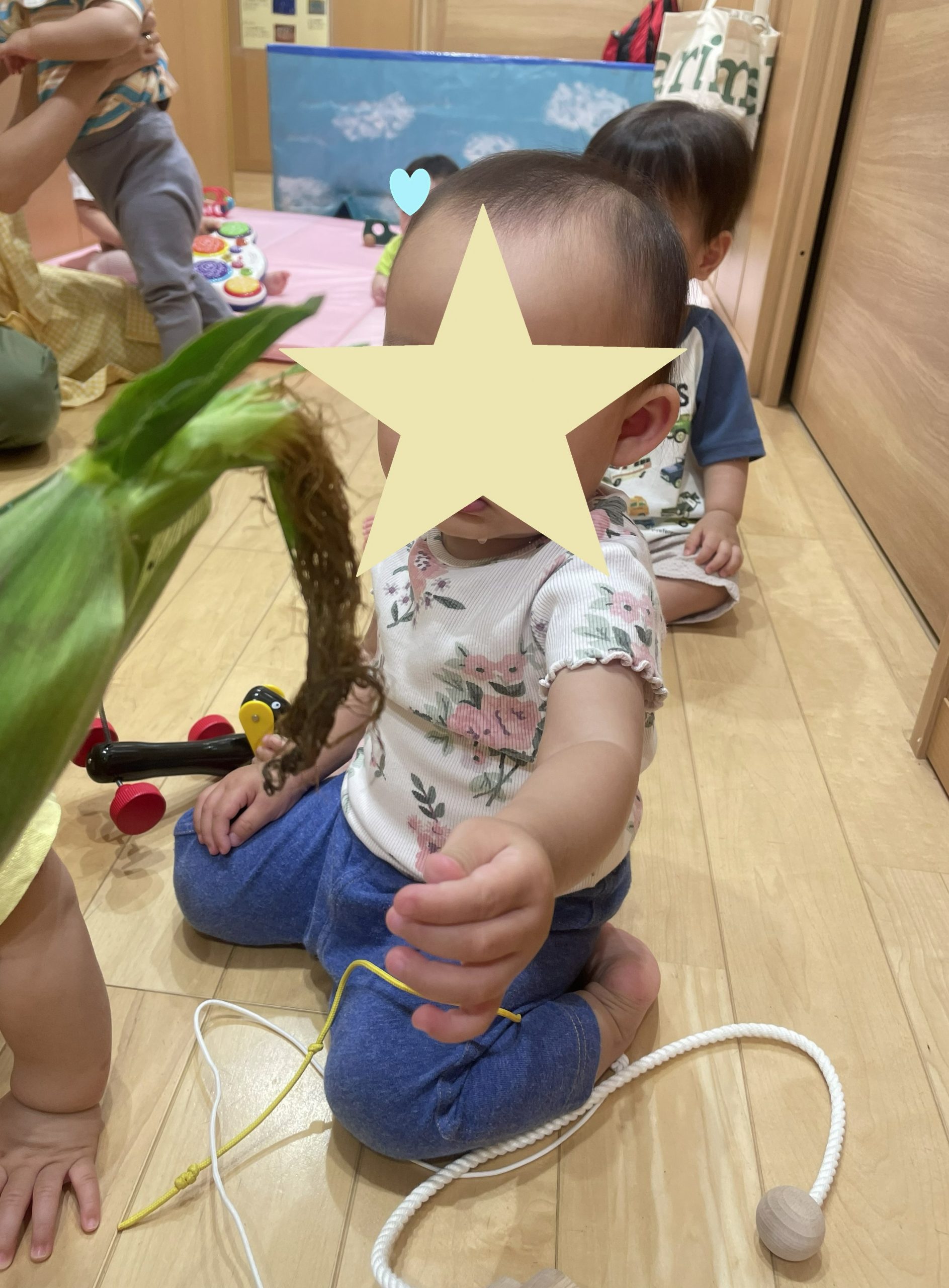 画像：ブログ