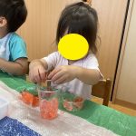 寒天遊び